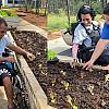Projeto de inclusão já é realidade na entidade aqui de Naviraí